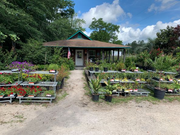 Treehouse Nursery: 3750 Thomas Sumter Hwy, Dalzell, SC 29040